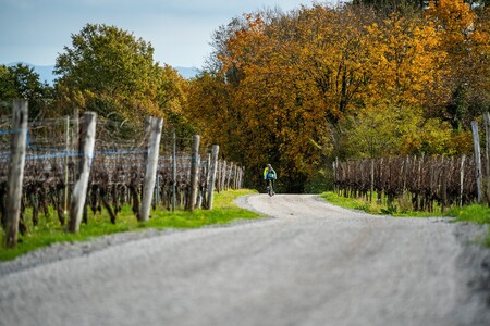 Geomob, Vir: VisitKras