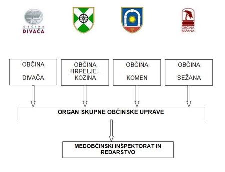 Organigram