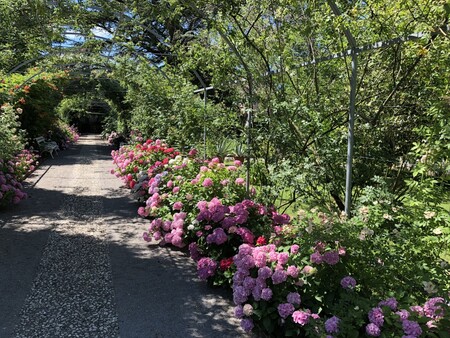 botanicni-vrt-sezana-2